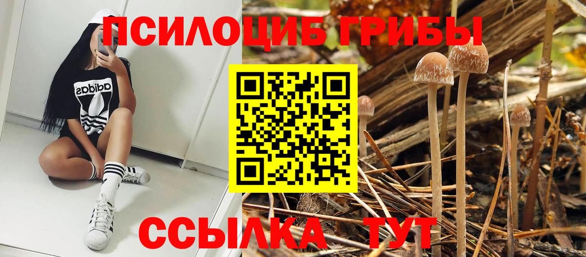 Псилоцибиновые грибы ЛСД Усть-Лабинск