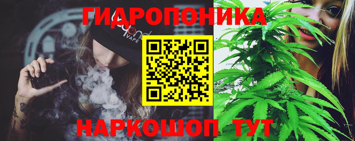 Бошки Шишки Amnesia Усть-Лабинск